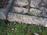 image of grave number 945852